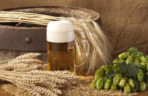Beer Stock Photos