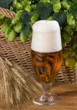 Beer Stock Photos