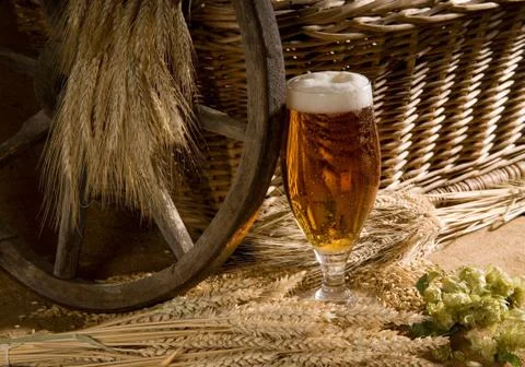Beer Stock Photos