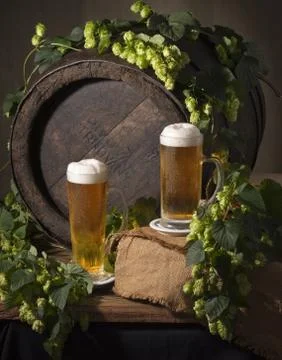 Beer Stock Photos