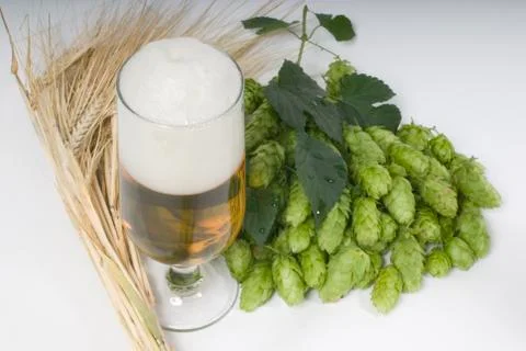 Beer Stock Photos
