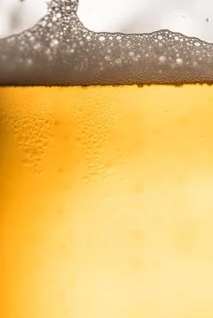 Beer Stock Photos