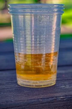 Beer in a plastic cup Foto stock