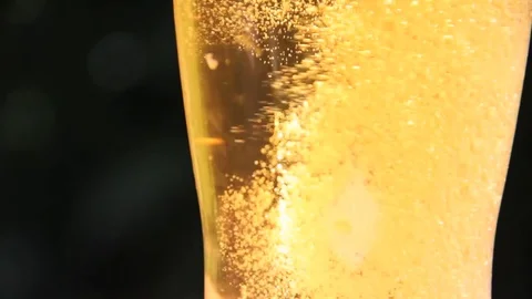 Beer poured into a glass Stock Footage 76364601