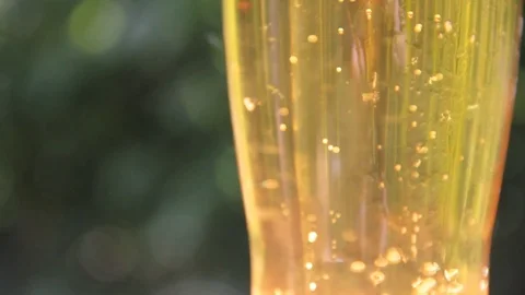 Beer is poured into a glass Stock Footage 76372113
