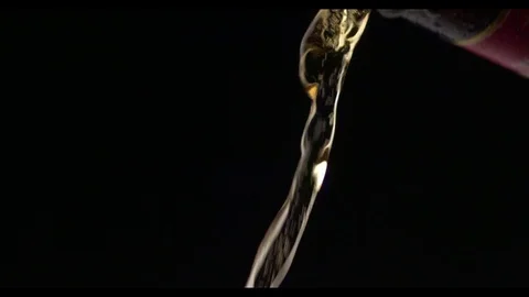 Beer Pouring From Bottle Stock Footage 81793441