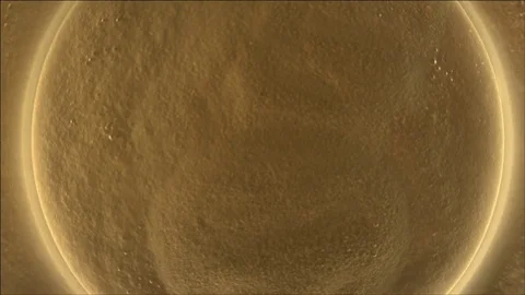 Beer pouring close up Stock Footage 84058876