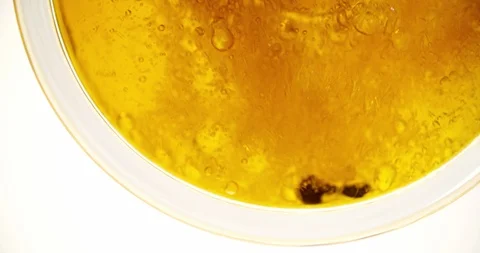 Beer is pouring in Glass from Bottom View Extremely closeup 4k Stock Footage 103642837