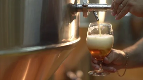 Beer is pouring into the glass Stock Footage 84044037