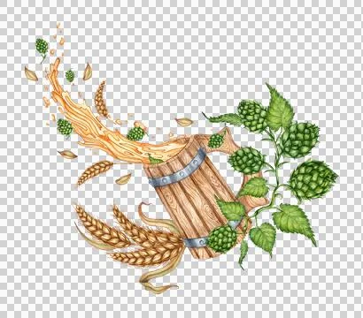 Beer pours with splashes from a mug with hops and wheat in watercolor イラスト素材
