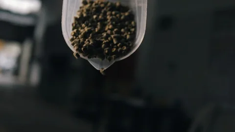 Beer production and brewing process Video stock 95122606