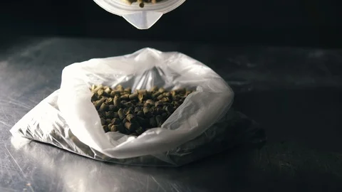 Beer production and brewing process Video stock 95145875