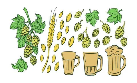Beer set. Vector art line group of isolate. Natural drink, organic beverage,  Stock Illustration
