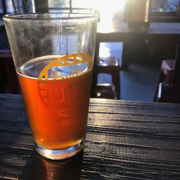 Beer at Sunset Foto stock