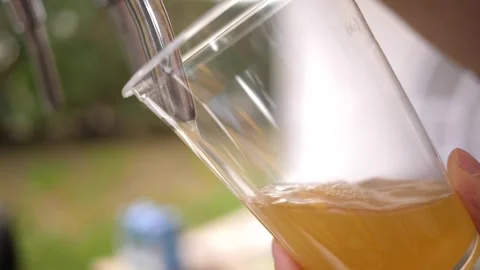 Beer on tap - pouring a non-alcoholic drink from a keg into a plastic glass Video stock 315289853