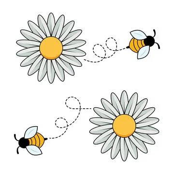 Bees and Daisies Vector Illustration Stock Illustration