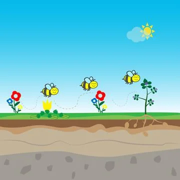 Bees and flowers Stock Illustration