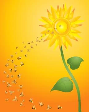 Bees and sunflower Ilustración de archivo