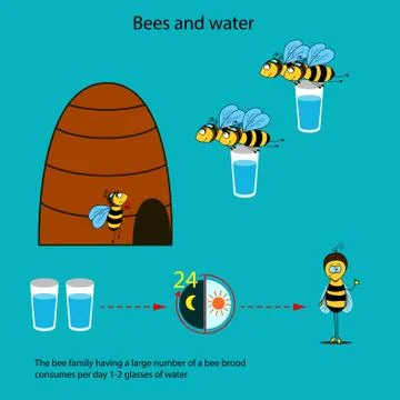 Bees and water Stock Illustration