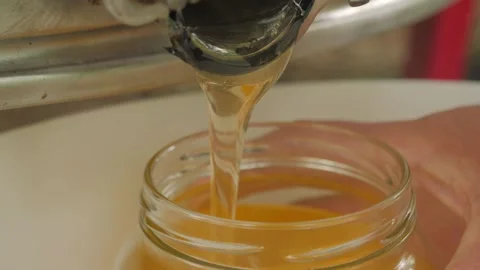 Bees on the apiary in the evidence Stock Footage 151790986