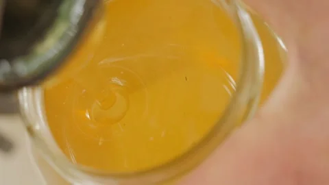 Bees on the apiary in the evidence Stock Footage 151791550