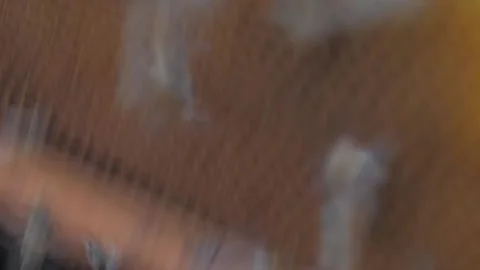 Bees on the apiary in the evidence Stock Footage 151791844