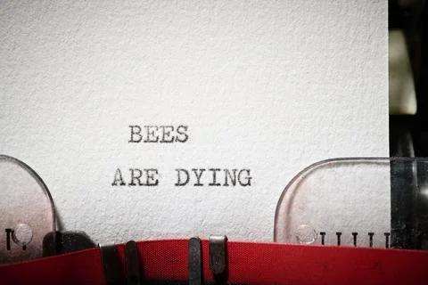Bees are dying text written with a typewriter. Stock Photos