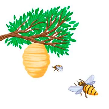 Bees are flying to the hive on a tree branch. Vector illustration Stock Illustration