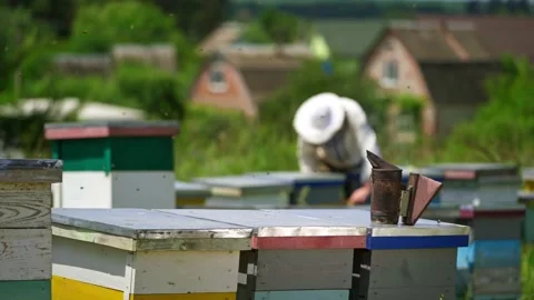 Bees chimney on a hive. Beekeeper working at apiary in summer in rural place. Stock-Footage 133409412