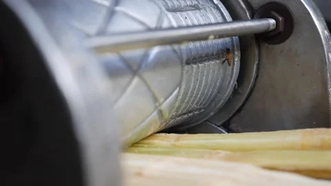 Bees crawl across a sugarcane juicing machine near metal parts at a local market Stock Footage 339279395