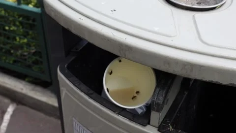 Bees Fly Around A Cup With Sugar On Trash Bin Video stock 166654291