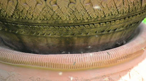 Bees fly into the beehive Video stock 26319415