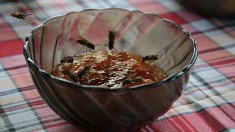 Bees fly over jam Stock Footage 96743159
