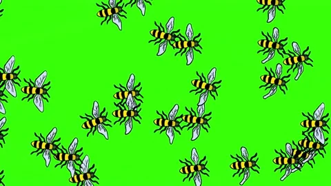 Bees Flying Animation Hand Drawn Loop Green Screen Stock Footage 201313058