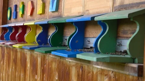 Bees Flying To Hive Slow Motion Stock Footage 96853804