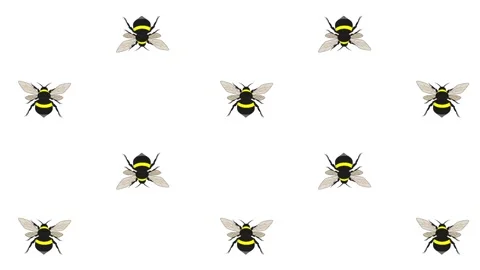 Bees flying in opposite directions Stock Footage 146969887