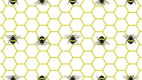 Bees flying over the honeycomb Stock Footage 146969993