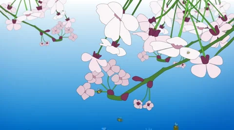 Bees Stock Footage 969516