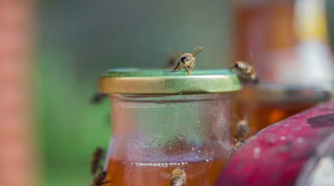 Bees on the honey jar Stock Footage 45574807
