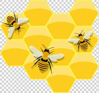 Bees on honeycomb, vibrant yellow and black stripes, adding a touch of natu.. Stock Illustration