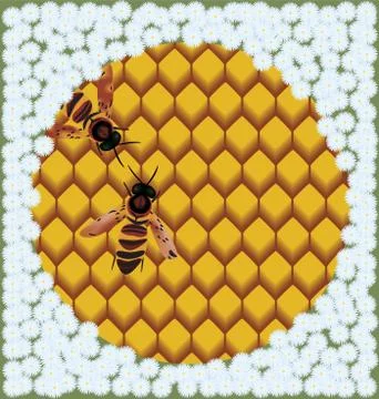 Bees on honeycombs. Stock Illustration