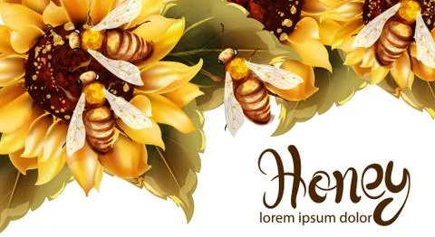 Bees making honey from sunflower Vector watercolor. Label template. Summer ba Stock Illustration