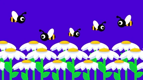 Bees Over Flower Field Stock Footage 336062534