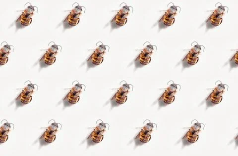 Bees pattern macro Foto stock