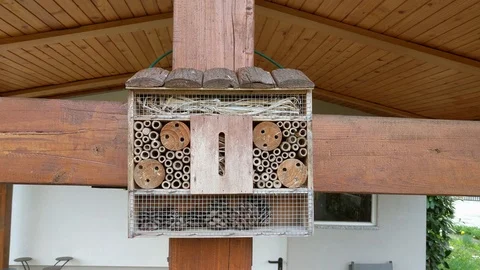 Bees pollinating and swarming in and out of wooden beehive. Video stock 126774355