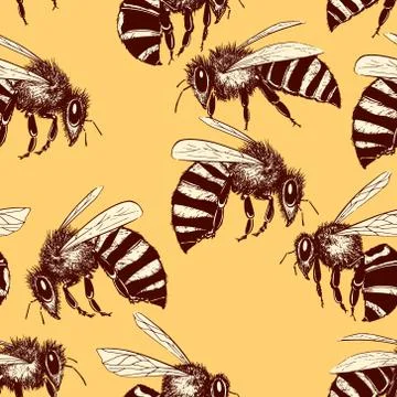 Bees seamless pattern Stock Illustration