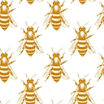 Bees seamless pattern Stock Illustration
