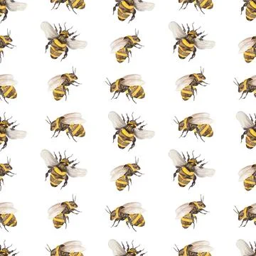 Bees seamless pattern, Watercolor Insect repeat paper, Cute scrapbook paper, Stock Illustration
