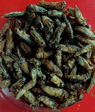 Bees as Snacks Stock Photos