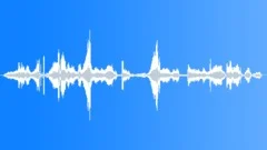 BEES Sound Effect